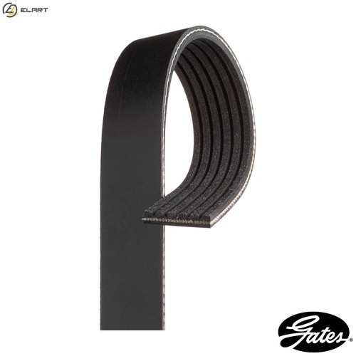 Vribbed belt 6pk923 - belt,